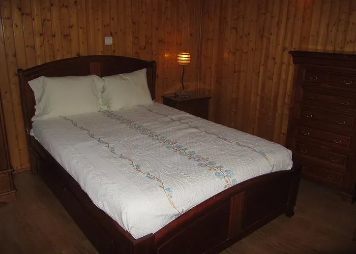 D. Antonia بينيش